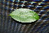  ( - BioBot00232)  @11 [ ] Copyright (2010) Unspecified Unspecified
