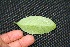  ( - BioBot00232)  @11 [ ] Copyright (2010) Unspecified Unspecified