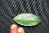  ( - BioBot00232)  @11 [ ] Copyright (2010) Unspecified Unspecified