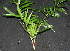  ( - BioBot00243)  @11 [ ] Copyright (2010) Unspecified Unspecified