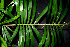  ( - BioBot00243)  @11 [ ] Copyright (2010) Unspecified Unspecified