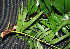  ( - BioBot00244)  @11 [ ] Copyright (2010) Unspecified Unspecified