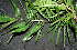  ( - BioBot00244)  @11 [ ] Copyright (2010) Unspecified Unspecified