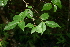  ( - BioBot00297)  @11 [ ] Copyright (2010) Unspecified Unspecified