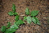  ( - BioBot00297)  @11 [ ] Copyright (2010) Unspecified Unspecified