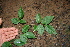  ( - BioBot00297)  @11 [ ] Copyright (2010) Unspecified Unspecified