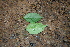  ( - BioBot00297)  @11 [ ] Copyright (2010) Unspecified Unspecified