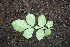  ( - BioBot00308)  @11 [ ] Copyright (2010) Unspecified Unspecified