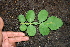  ( - BioBot00308)  @11 [ ] Copyright (2010) Unspecified Unspecified