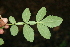  ( - BioBot00309)  @11 [ ] Copyright (2010) Unspecified Unspecified