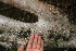  ( - BioBot00309)  @11 [ ] Copyright (2010) Unspecified Unspecified