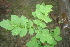  ( - BioBot00310)  @11 [ ] Copyright (2010) Unspecified Unspecified