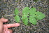  ( - BioBot00310)  @11 [ ] Copyright (2010) Unspecified Unspecified