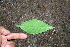  ( - BioBot00312)  @11 [ ] Copyright (2010) Unspecified Unspecified