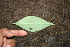  ( - BioBot00312)  @11 [ ] Copyright (2010) Unspecified Unspecified