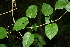  ( - BioBot00317)  @11 [ ] Copyright (2010) Unspecified Unspecified