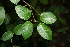  ( - BioBot00317)  @11 [ ] Copyright (2010) Unspecified Unspecified