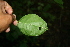  ( - BioBot00317)  @11 [ ] Copyright (2010) Unspecified Unspecified