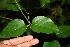  ( - BioBot00318)  @11 [ ] Copyright (2010) Unspecified Unspecified