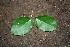  ( - BioBot00318)  @11 [ ] Copyright (2010) Unspecified Unspecified