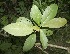  ( - BioBot00323)  @11 [ ] Copyright (2010) Unspecified Unspecified