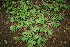  ( - BioBot00325)  @11 [ ] Copyright (2010) Unspecified Unspecified