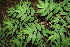  ( - BioBot00325)  @11 [ ] Copyright (2010) Unspecified Unspecified