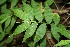  ( - BioBot00325)  @11 [ ] Copyright (2010) Unspecified Unspecified
