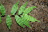  ( - BioBot00325)  @11 [ ] Copyright (2010) Unspecified Unspecified