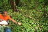  ( - BioBot00326)  @11 [ ] Copyright (2010) Unspecified Unspecified