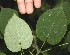  ( - BioBot00327)  @11 [ ] Copyright (2010) Unspecified Unspecified