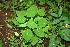  ( - BioBot00328)  @11 [ ] Copyright (2010) Unspecified Unspecified
