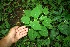  ( - BioBot00328)  @11 [ ] Copyright (2010) Unspecified Unspecified
