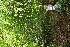  ( - BioBot00334)  @11 [ ] Copyright (2010) Unspecified Unspecified