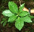  ( - BioBot00334)  @11 [ ] Copyright (2010) Unspecified Unspecified