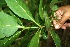  ( - BioBot00334)  @11 [ ] Copyright (2010) Unspecified Unspecified