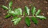  ( - BioBot00336)  @11 [ ] Copyright (2010) Unspecified Unspecified