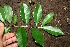  ( - BioBot00336)  @11 [ ] Copyright (2010) Unspecified Unspecified