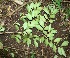  ( - BioBot00343)  @11 [ ] Copyright (2010) Unspecified Unspecified
