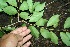  ( - BioBot00343)  @11 [ ] Copyright (2010) Unspecified Unspecified