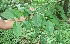  ( - BioBot00347)  @11 [ ] Copyright (2010) Unspecified Unspecified