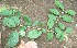 ( - BioBot00347)  @11 [ ] Copyright (2010) Unspecified Unspecified