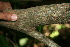  ( - BioBot00348)  @11 [ ] Copyright (2010) Unspecified Unspecified