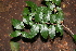  ( - BioBot00348)  @11 [ ] Copyright (2010) Unspecified Unspecified
