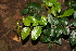  ( - BioBot00348)  @11 [ ] Copyright (2010) Unspecified Unspecified
