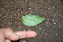  ( - BioBot00348)  @11 [ ] Copyright (2010) Unspecified Unspecified