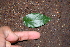  ( - BioBot00348)  @11 [ ] Copyright (2010) Unspecified Unspecified