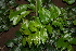  ( - BioBot00348)  @11 [ ] Copyright (2010) Unspecified Unspecified