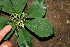  ( - BioBot00351)  @11 [ ] Copyright (2010) Unspecified Unspecified