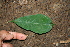  ( - BioBot00351)  @11 [ ] Copyright (2010) Unspecified Unspecified
